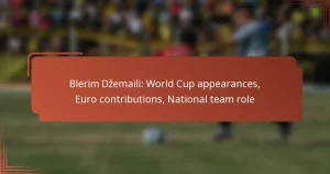 Blerim Džemaili: World Cup appearances, Euro contributions, National team role
